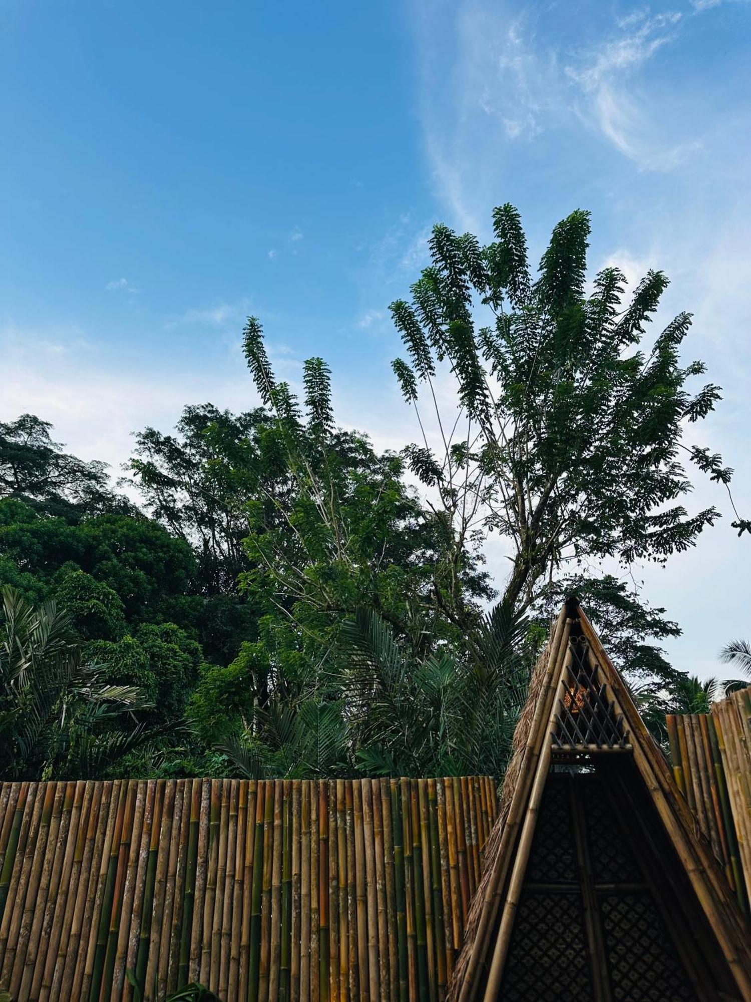 Vila Bamboo House - Ecobreeze Sidemen  Exteriér fotografie
